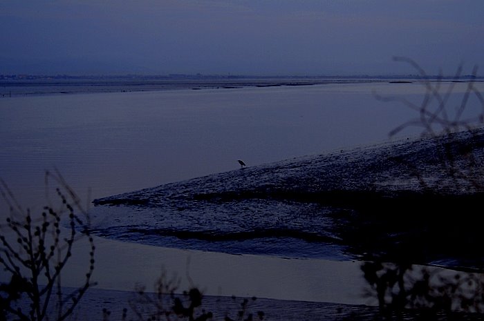 [AA0_6442-2.JPG]