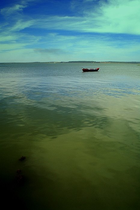 [PICT1995.JPG]