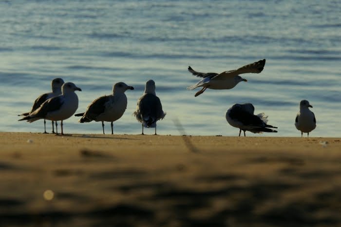 [DSC_2533.JPG]