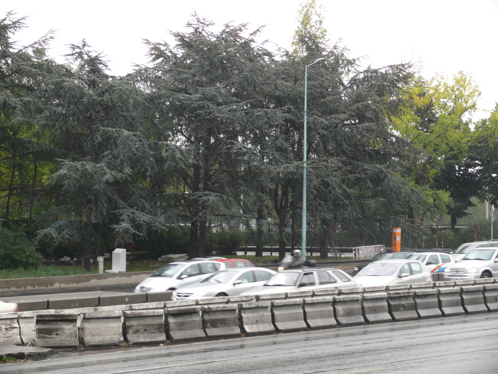 [L1030220.JPG]