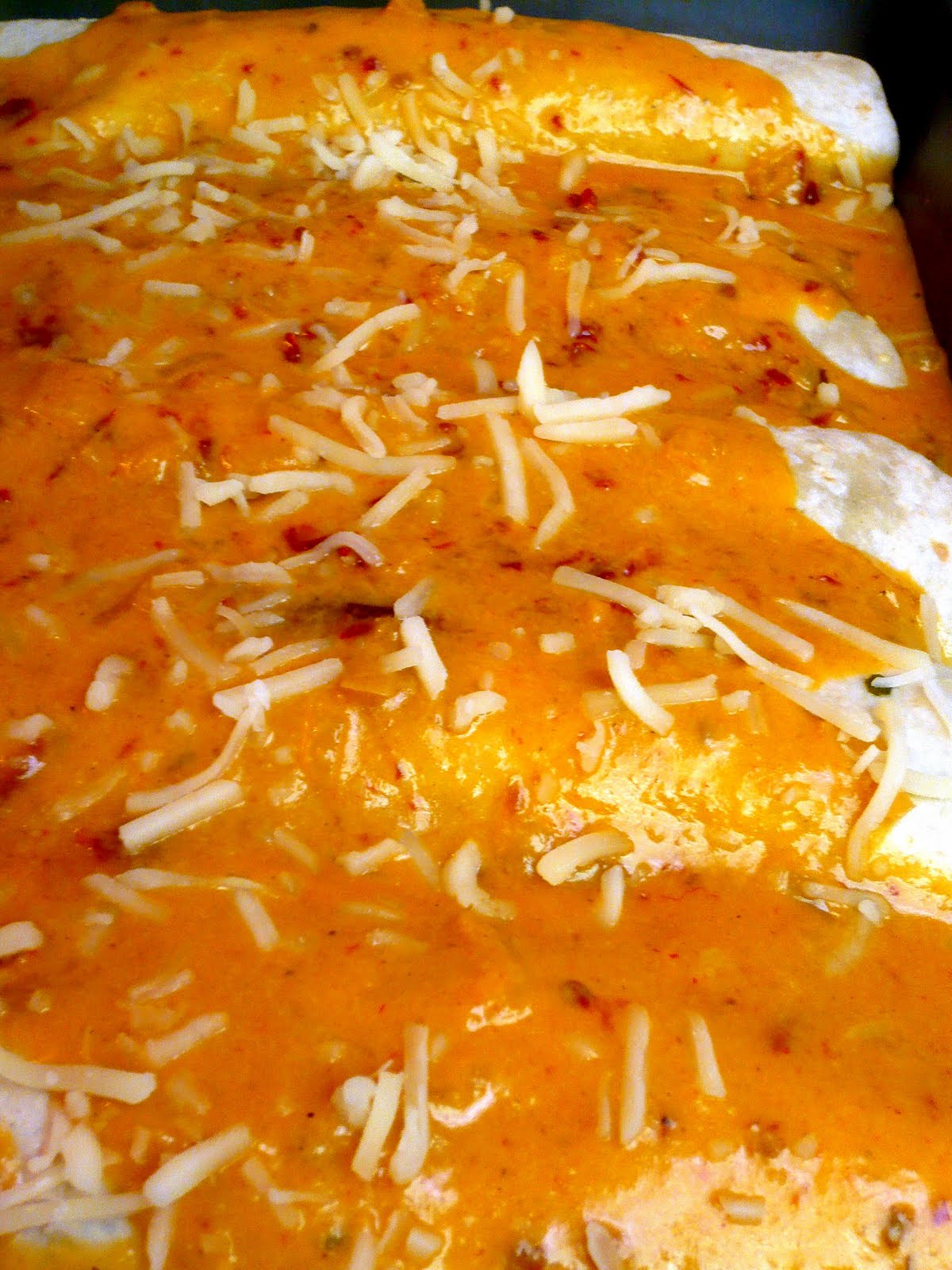 newFOOD tuesdayz Lobster Enchiladas