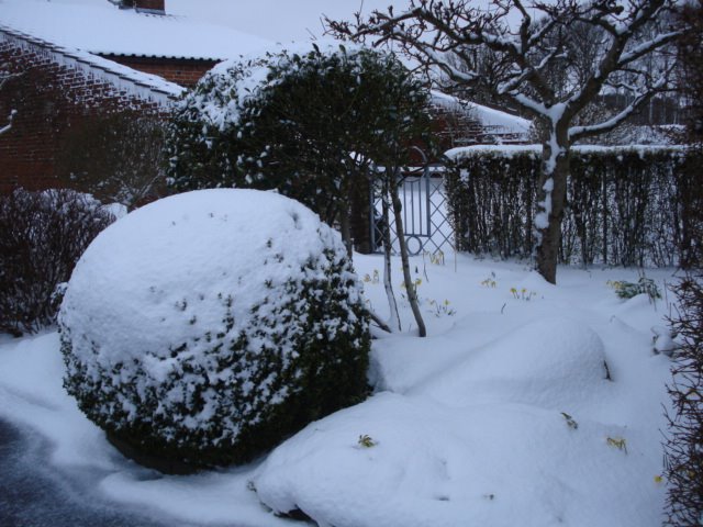 [DSC02027.JPG]