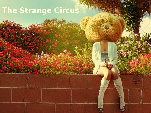 The Strange Circus