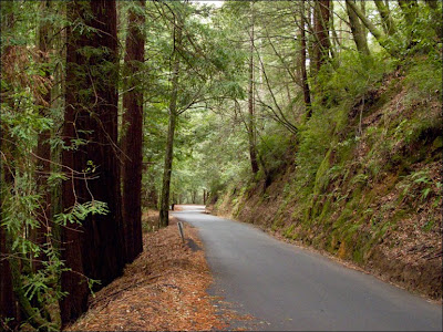 Tunitas Creek Road