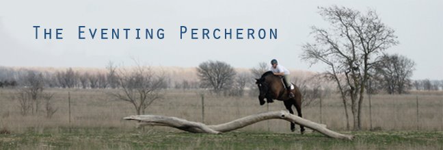The Eventing Percheron