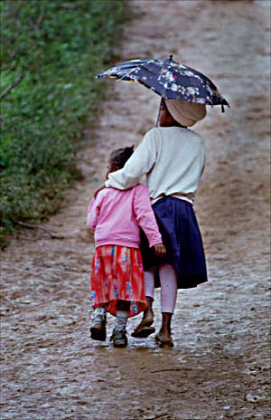 [mad_rain_kids_umbrella.jpg]