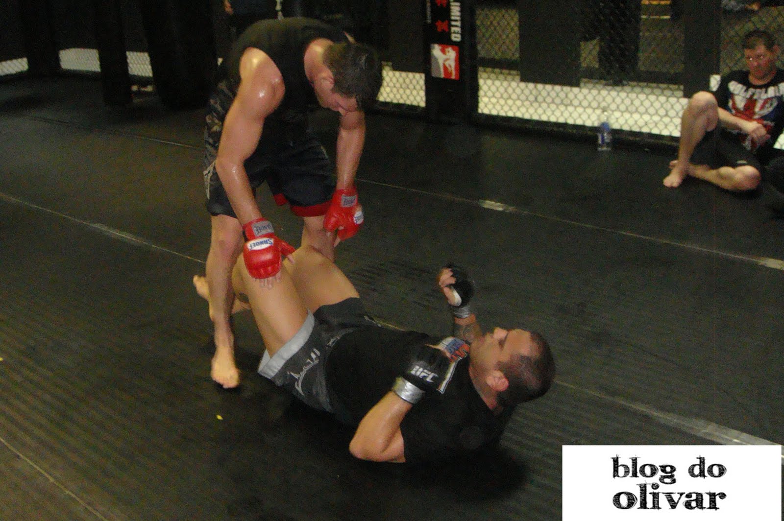 Como melhorar seu treino de academia de MMA? – Bem-vindo ao Blog