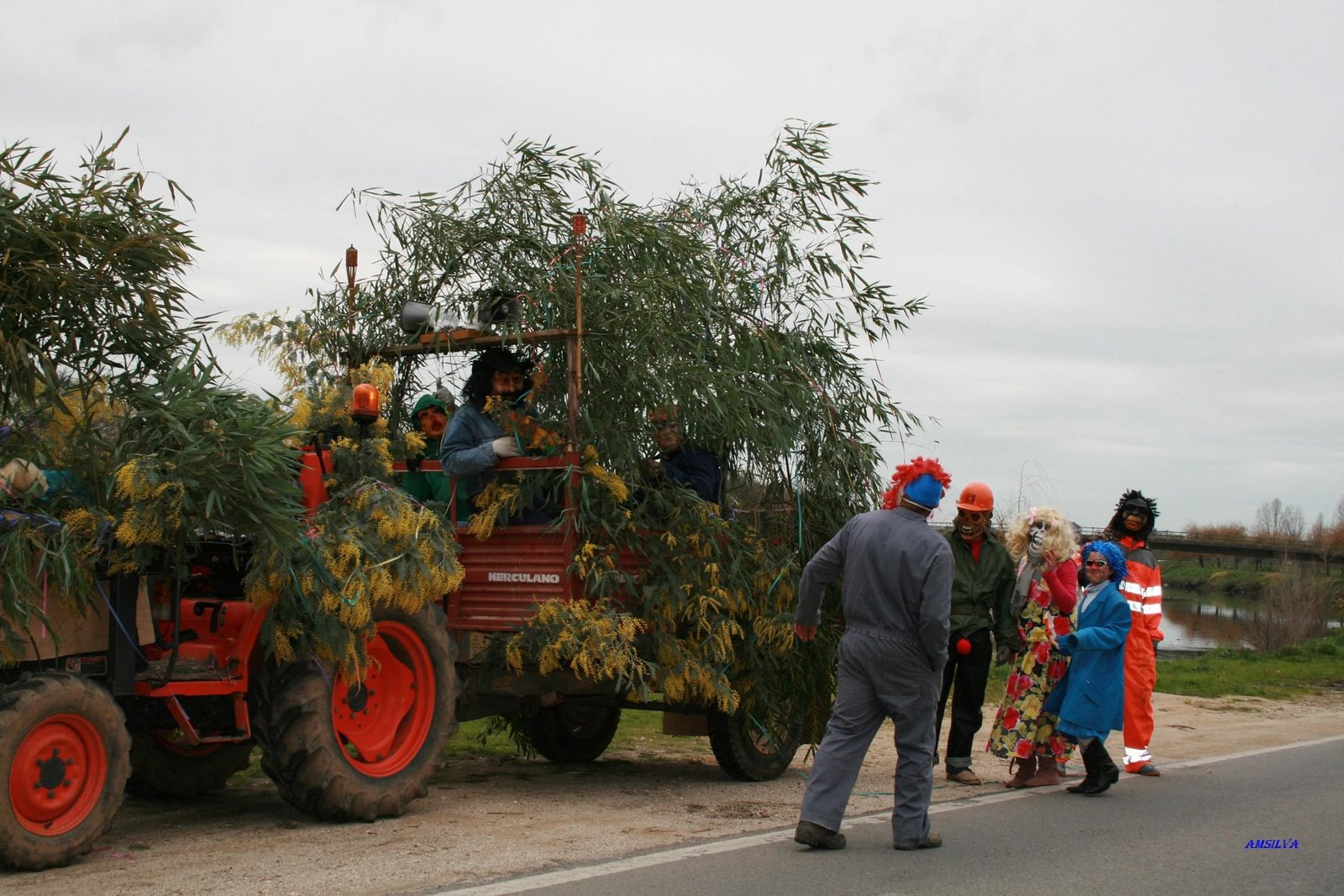 [carnaval.JPG]