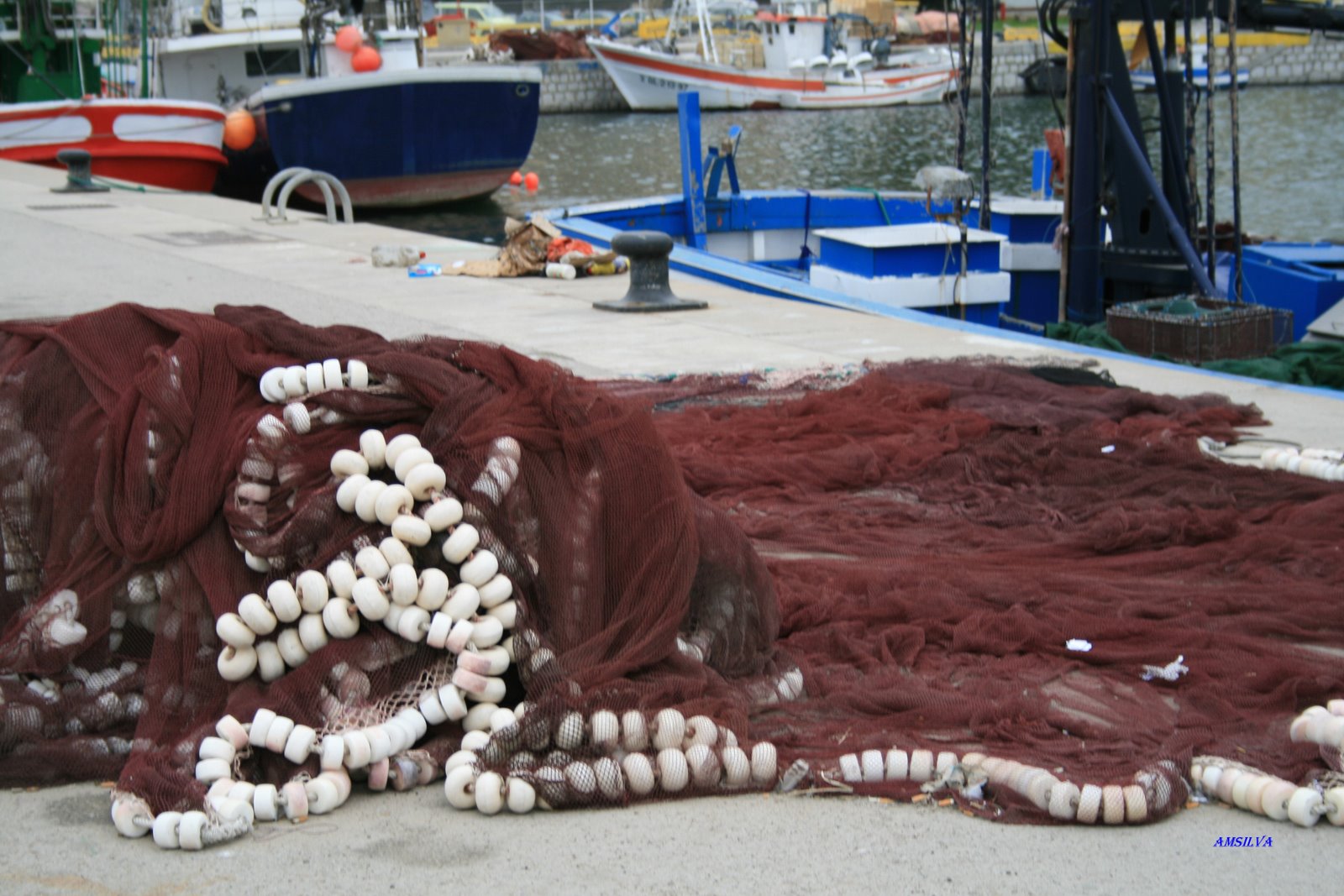 [Algeciras.rede1.JPG]