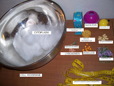 build a cell barca fontanacountryinn com build a cell