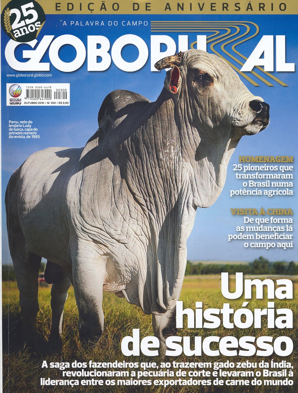 Globo Rural vence Prêmio Veículos de Comunicação 2020, da Propmark -  Revista Globo Rural