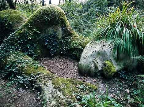 Nosotros la llamamos "Madre Tierra"
