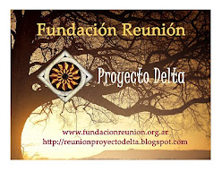 Proyecto Delta