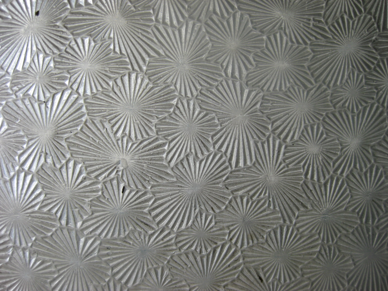 [IMG_1826+Copiando.JPG]