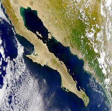 Baja Satellite Image