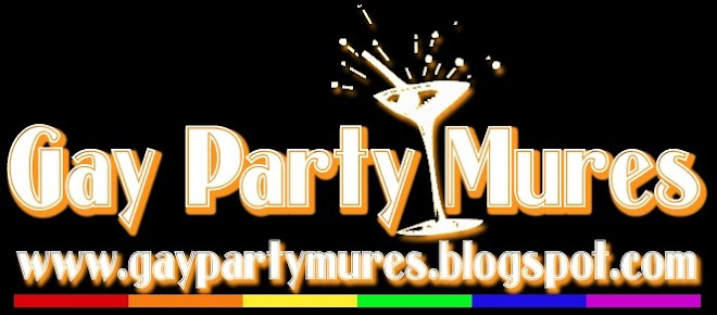 Gay Party Mures