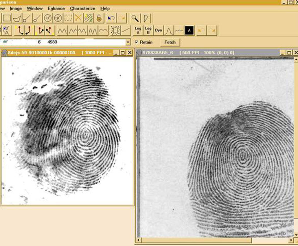 Fingerprint AFIS Accuracy and the Unidentified Latent Image