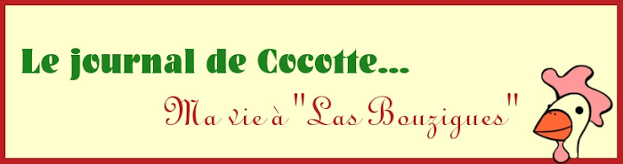 Le journal de Cocotte