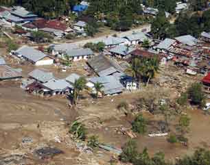 Pelestarian Alam Akibat Dari Penebangan Hutan Secara Liar