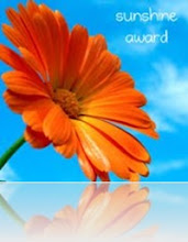 Sunshine Blog Award