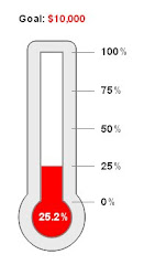 Donation Progress