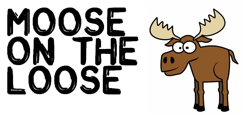 Moose On The Loose