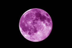 Purple-Moon