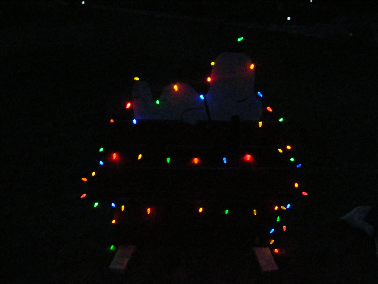 [DSCF8099.JPG]
