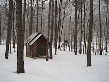 Vermont Cabin