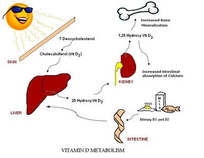 Treatment For A Vitamin D Deficiency