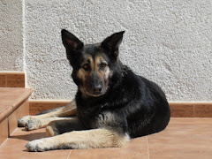 LUBA PREPARADA PER CÓRRER