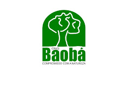 Ong Baobá