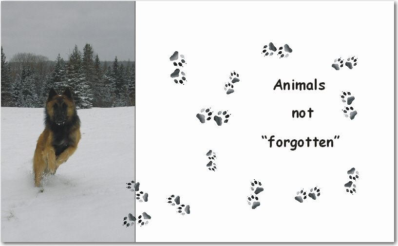 Animals not "forgotten"