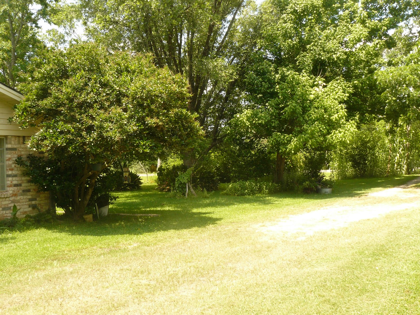 [P1060625.JPG]