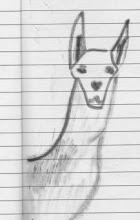 LLAMA