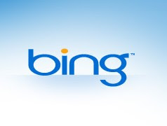 So, does it stand for 'Boom! Your search results, bada bing!'