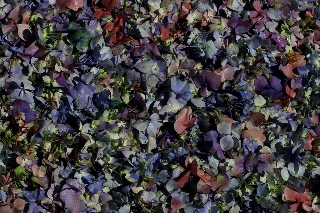 [IMG_3121+-+Copy.JPG]