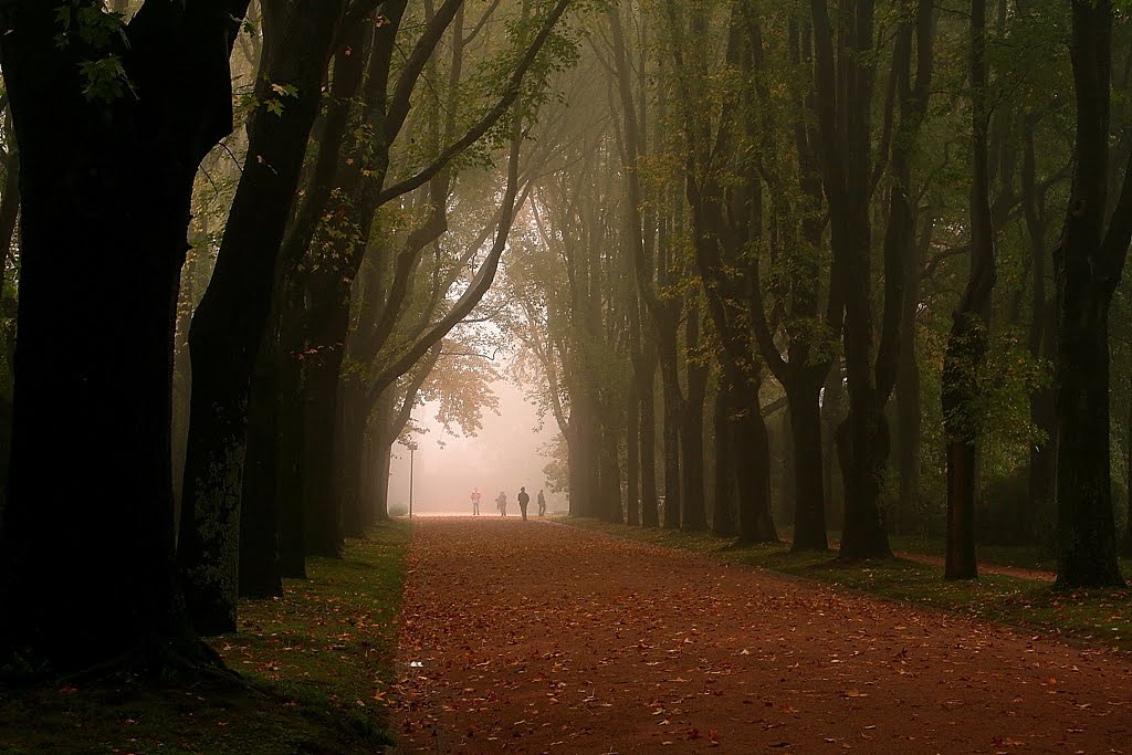 [IMG_0084+-+Copy.JPG]