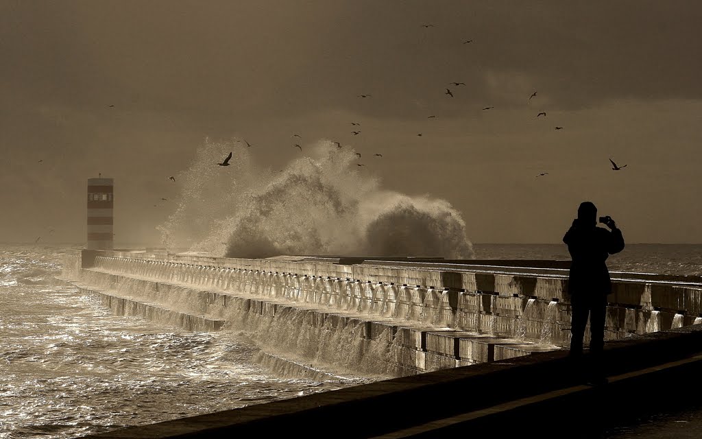 [IMG_0837_-_Copy.JPG]