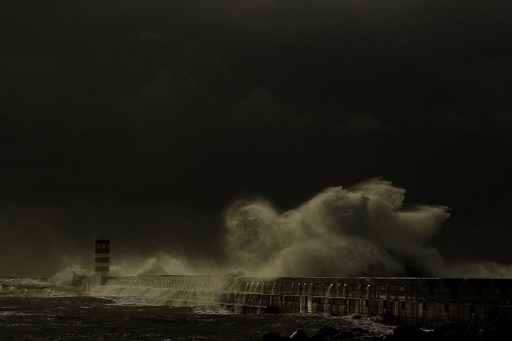 [IMG_0754+-+Copy.JPG]