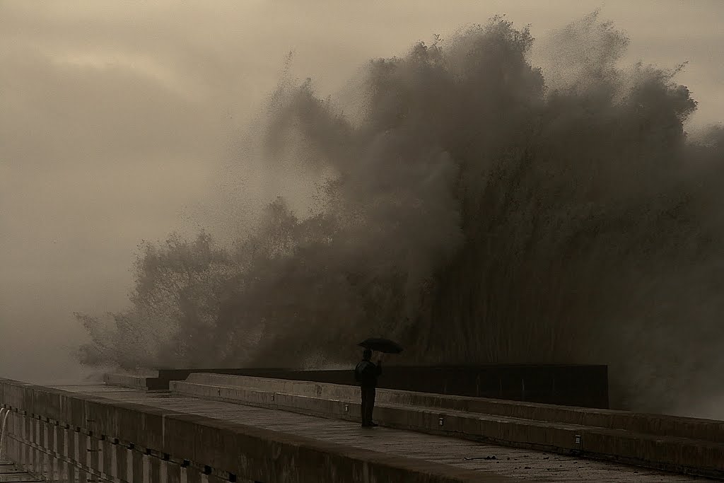 [IMG_1147+-+Copy.JPG]