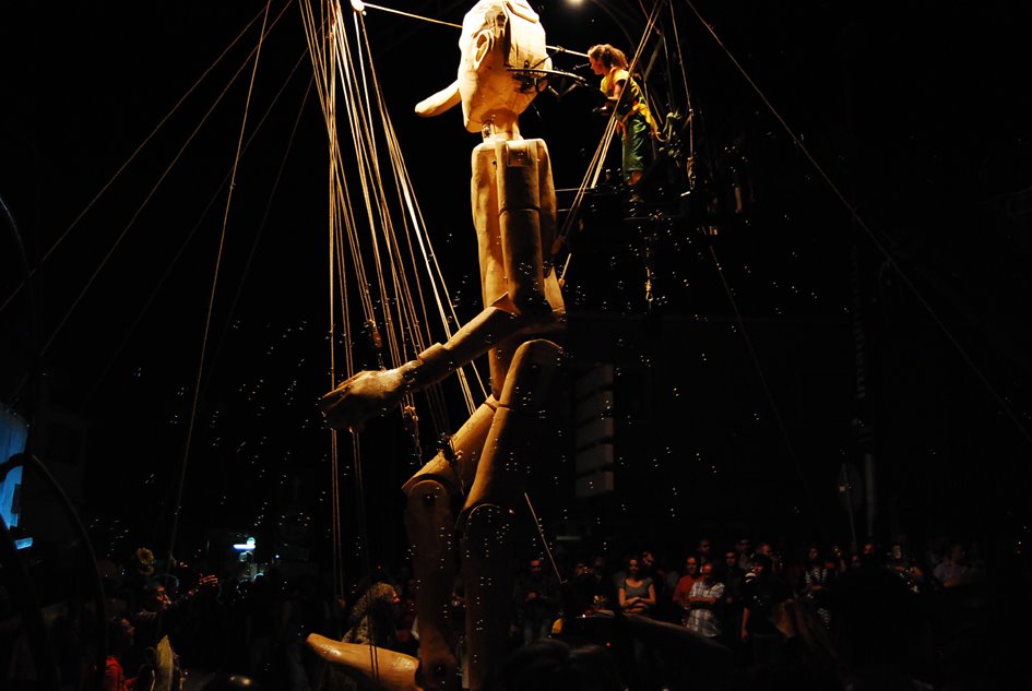 [DSC_0896.JPG]