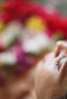 [Image1.gif]