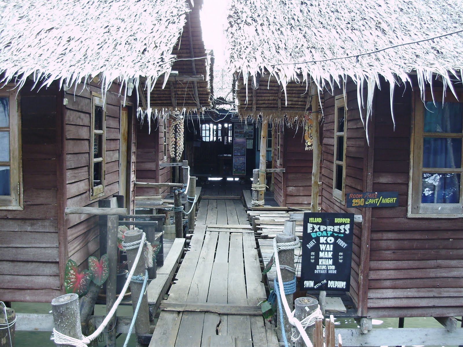 [PC260270.jpg]