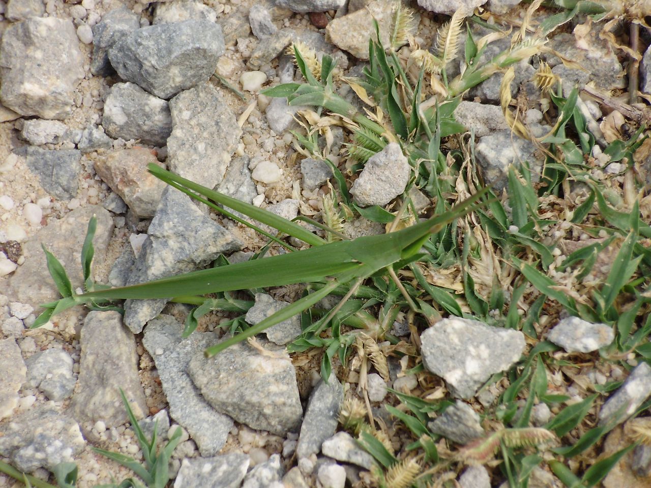 [P4120453.jpg]