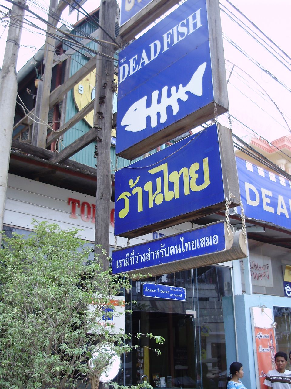 [P4110221.jpg]