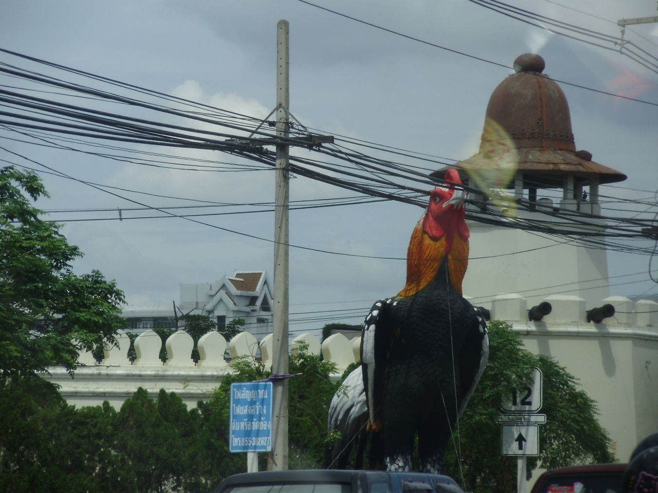 [P7020698.jpg]