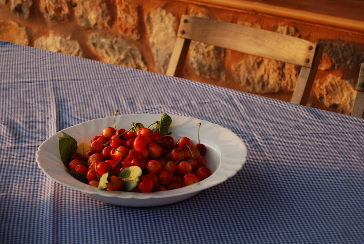 mallorca cherries