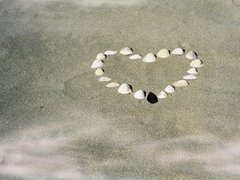 [conchas_de_mar[1].jpg]