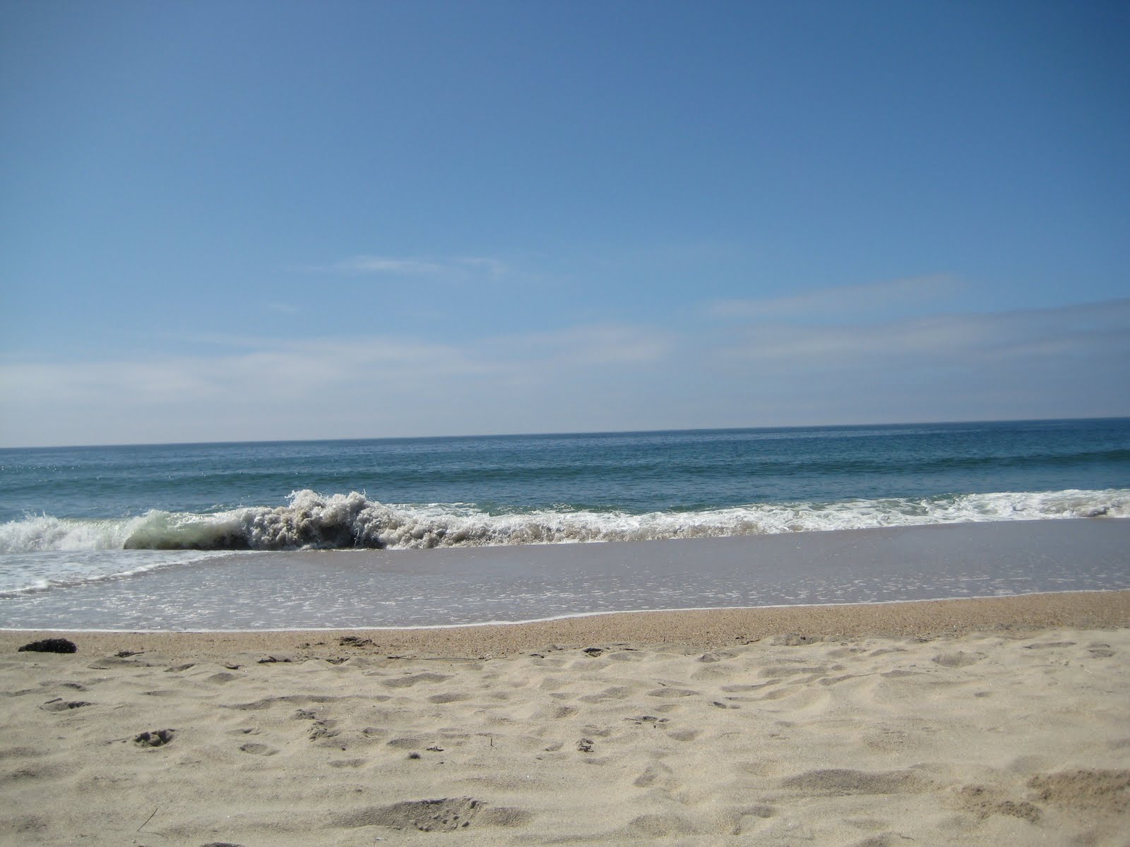 [IMG_4786.JPG]